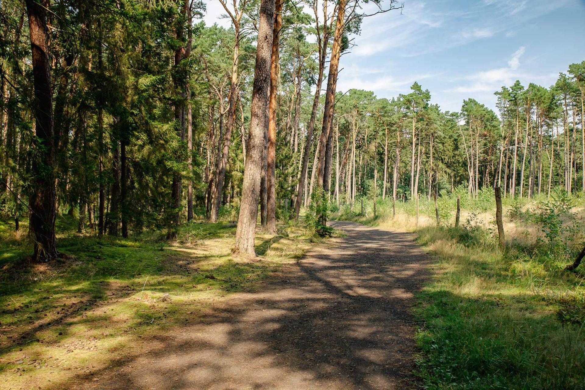 Villa Sloneczna Przystan Dziwnówek Esterno foto