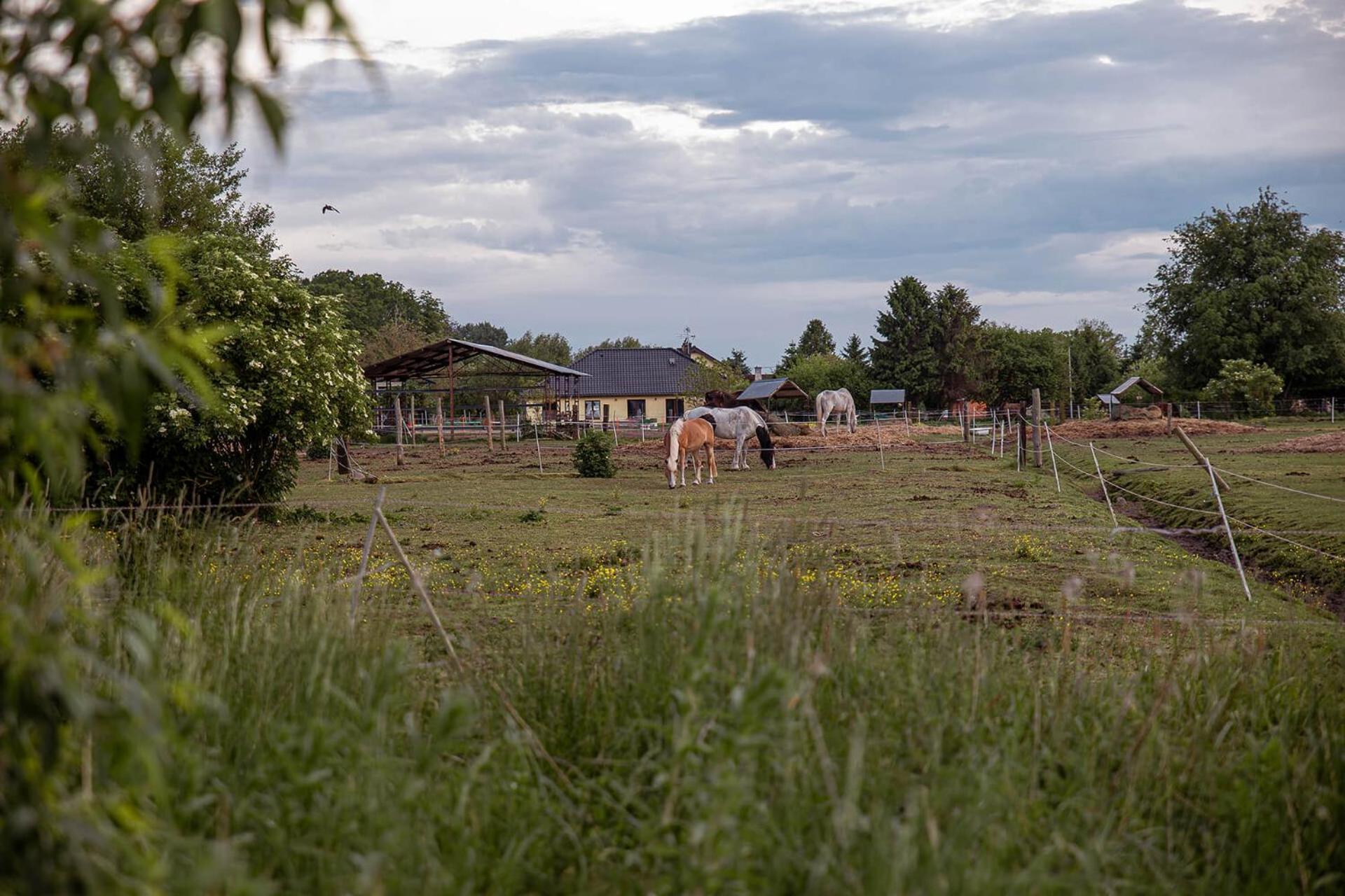 Villa Sloneczna Przystan Dziwnówek Esterno foto